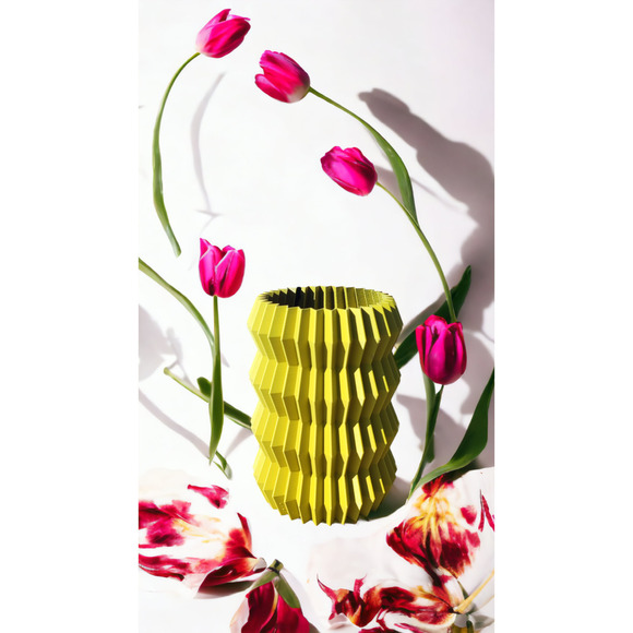 Stylish Contemporary Planter - Angular Creassera Aletas Vase for Flowers Plants - Picture 4 of 5